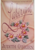 Labirynt
