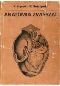 Anatomia zwierząt