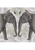 Karnet kwadrat z kopertą Indian Elephant