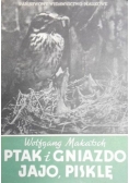 Ptak i gniazdo, jajo, pisklę