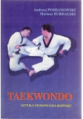 Taekwondo sztuka stosowania kopnięć