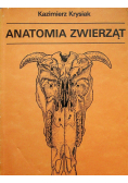 Anatomia zwierząt