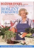 Bożena Dykiel poleca rośliny pokojowe