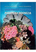 Underwater Indonesia Podwodna Indonezja