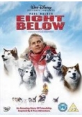 Eight Below, DVD