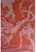 Janiak Marek (red.) - Kultura zrzuty