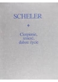 Cierpienie, śmierć, dalsze życie