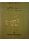 Sekcja zwłok płodu i noworodka