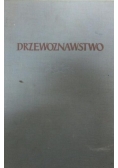 Drzewoznawstwo