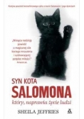 Syn kota Salomona, który naprawia życie ludzi, nowa
