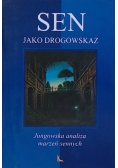 Sen jako drogowskaz. Jungowska analiza marzeń sennych