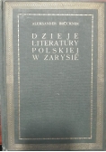 Dzieje literatury polskiej w zarysie, 1921 r.