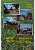 Podstawy i perspektywy rozwoju małych miast