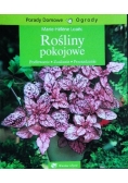 Porady domowe Rośliny pokojowe