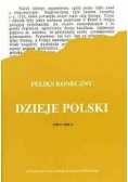 Dzieje Polski, tom 1