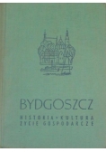 Bydgoszcz: Historia, kultura, życie gospodarcze