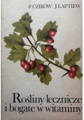 Rośliny lecznicze i bogate w witaminy