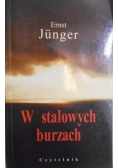 W stalowych burzach