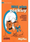Mój pies jest piękny
