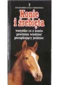 Konie i źrebięta