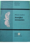 Zwójki sosnowe