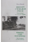 Brzozy i wielkie piece