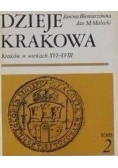 Dzieje Krakowa Tom II