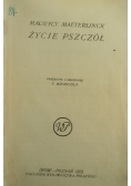 Życie pszczół, 1922 r.