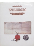 Wolbrom studium przestrzeni miejskich w okresie staropolskim