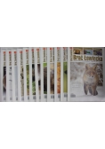 Miesięcznik Brać Łowiecka, nr. 1-12