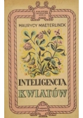 Inteligencja kwiatów 1948 r