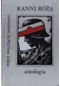 Ranni różą