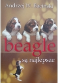 Beagle są najlepsze