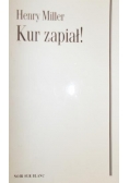 Kur zapiał