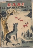 Bari Syn szarej wilczycy, 1949 r.