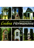 Polskie kapliczki Cudna Hermanowa