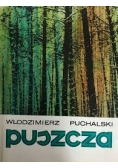 Puszcza