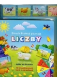 Strach Piotruś poznaje liczby