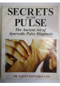 Dattaray Lad Vassant - Secrets of the Pulse