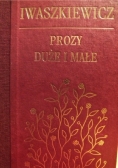 Prozy duże i małe. Wybór opowiadań