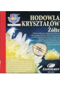 Hodowla kryształów żółte