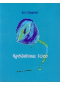 Spóźnione lato