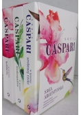W krainie srebrnej rzeki/W krainie kolibrów/W krainie wodospadów