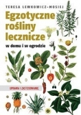 Egzotyczne rośliny lecznicze