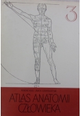 Atlas anatomii człowieka 3