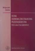 Ocena ekonomiczno-finansowa przedsiębiorstwa przez analityka bankowego