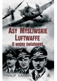 Asy myśliwskie Luftwaffe II Wojny Światowej w.2017