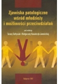 Zjawiska patologiczne wsrod młodzieży i możliwości przeciwdziałań