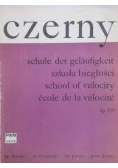 Szkoła biegłości