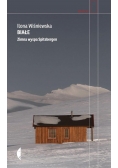 Białe zimna wyspa Spitsbergen